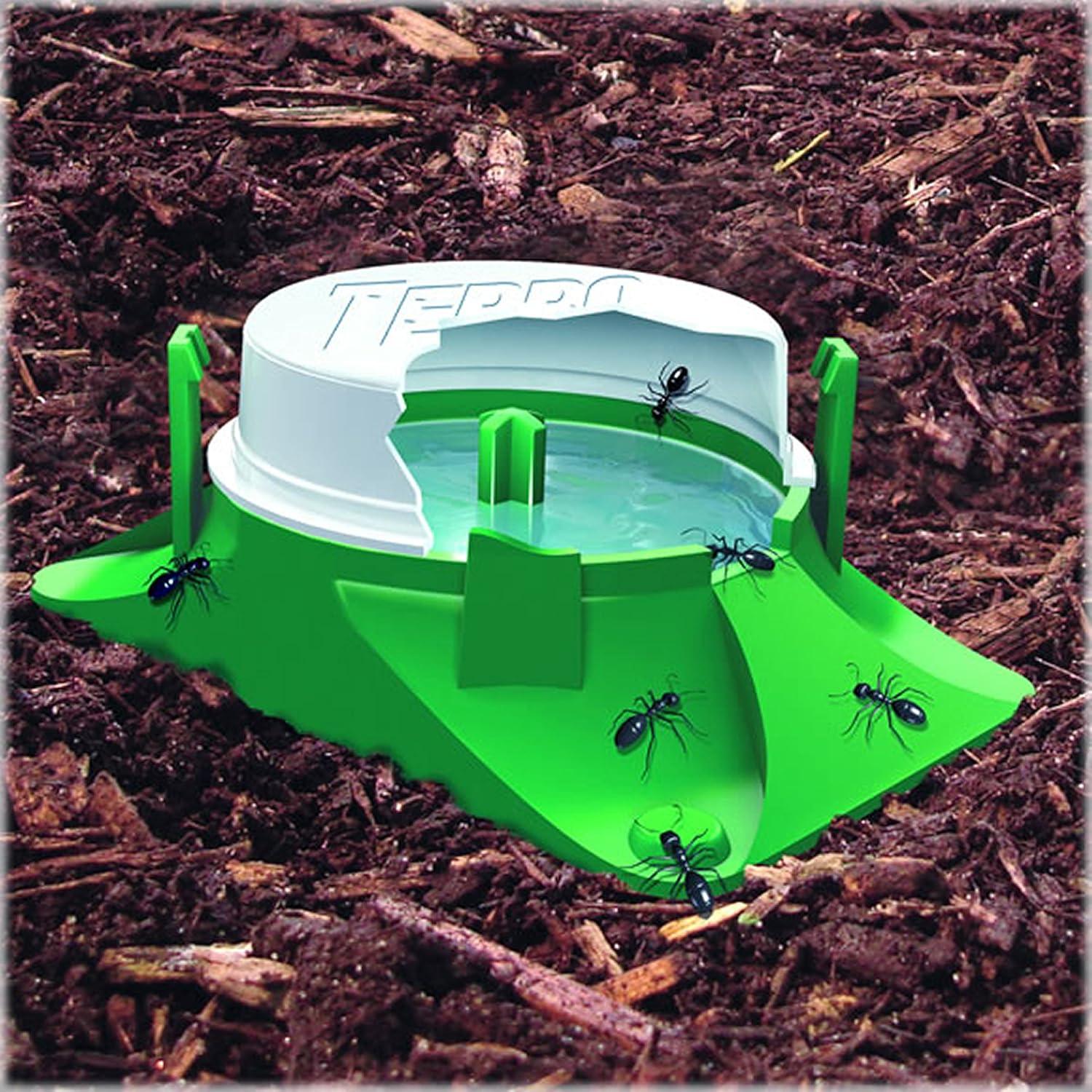 imageTERRO T18046 Outdoor ReadytoUse Liquid Ant Bait Killer and Trap  Kills Common Household Ants  4 Bait Stations4 Bait Stations