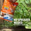 imageTERRO Ant Killer Plus MultiPurpose Insect Control for Outdoors  Kills Fire Ants Fleas Cockroaches and Other Crawling Insects  3lb Shaker Bag  T90162 Pack
