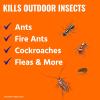 imageTERRO Ant Killer Plus MultiPurpose Insect Control for Outdoors  Kills Fire Ants Fleas Cockroaches and Other Crawling Insects  3lb Shaker Bag  T90162 Pack
