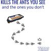 imageTERRO Ant ampamp Roach Bait  Indoor Ant Killer and Roach Killer  T360SR  Attracts and Kills Ants Roaches and Silverfish  2 PackPack of 24