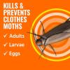 imageTERRO Clothes Moth Killer  T2903 3 Pack  Kills Adult Clothes Moths Larvae and Moth Eggs  No Moth Balls Odor