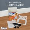 imageTERRO Flea Trap Refill Pack of Glue Cards for T230 Indoor Flea Trap  3 Count Pack of 1  T231