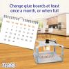 imageTERRO Flea Trap Refill Pack of Glue Cards for T230 Indoor Flea Trap  3 Count Pack of 1  T231