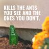 imageTERRO Liquid Ant Baits  T1813  Outdoor ReadytoUse Terro Traps Kills Household Ants 8 Bait Stakes12 Bait Stations