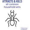 imageTERRO Liquid Ant Baits  T1813  Outdoor ReadytoUse Terro Traps Kills Household Ants 8 Bait Stakes8 Bait Stations