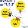 imageTERRO Spider ampamp Insect Trap T320610  Pack of 10 Insect Traps10 Pack