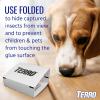 imageTERRO Spider ampamp Insect Trap T320610  Pack of 10 Insect Traps10 Pack
