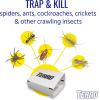 imageTERRO Spider ampamp Insect Trap T320610  Pack of 10 Insect Traps10 Pack
