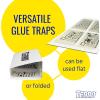 imageTERRO Spider ampamp Insect Trap T320610  Pack of 10 Insect Traps3 Pack