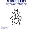 imageTERRO T18046 Outdoor ReadytoUse Liquid Ant Bait Killer and Trap  Kills Common Household Ants  4 Bait Stations4 Bait Stations