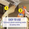imageTERRO T2360 ReadytoUse Spider Cobweb Eliminator and Repellent Spray  Prevent Spiderweb Formation