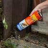 imageTERRO T600 Ant Dust Powder Killer for Indoors and Outdoors  Kills Ants Fire Ants Carpenter Ants Roaches Spiders and Other Insects  1lb1lb