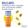 imageTERRO T600 Ant Dust Powder Killer for Indoors and Outdoors  Kills Ants Fire Ants Carpenter Ants Roaches Spiders and Other Insects  1lb1lb