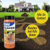 imageTERRO T702 Fire Ant Killer 2 lb