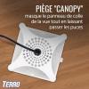 imageTerro T230 Indoor Electric Flea Trap and Killer  Refillable Flea Traps for Inside Your HomePack of 6