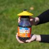 imageTERRO Outdoor Yellow Jacket Trap with Bait  Easy to Use  T362  No Chemical Insecticides  Effective Yellowjacket Trap  Includes Bait