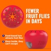image:imageTERRO Fruit Fly Trap Refills  4 Pack of Lure Refills